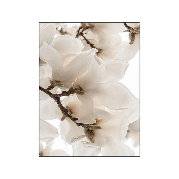 Nordische Wandkunst auf Leinwand – Beiges Blumenmotiv im modernen Boho-Stil