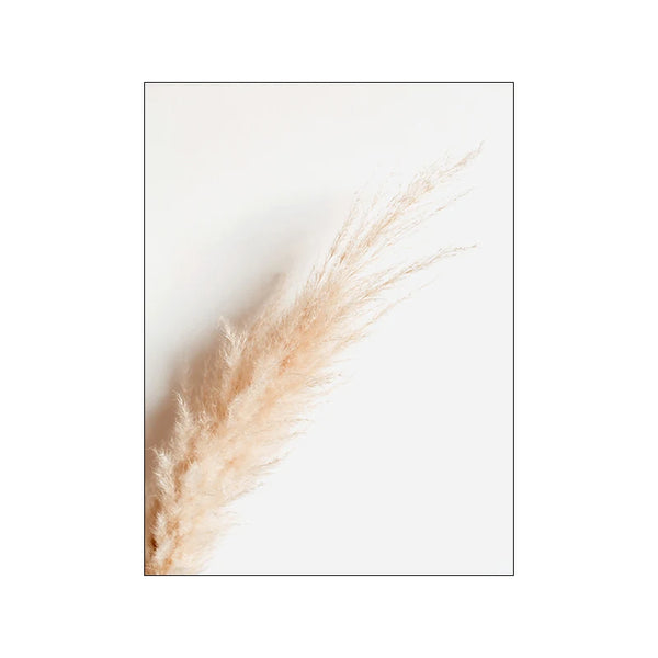 Nordisches Blumen & Gräser Poster – Minimalistische Wandkunst auf Leinwand
