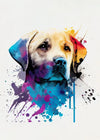 Graffiti Hund Leinwand Poster – Golden Retriever, Border Collie, Französische Bulldogge Wandkunst