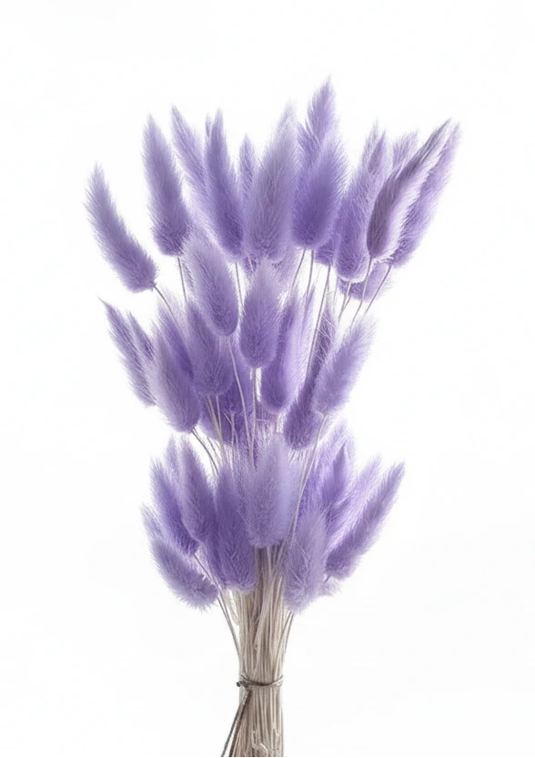 Getrocknete Hasenschwänze (Lagurus Ovatus) – Natürliche Trockenblumen im Boho Stil