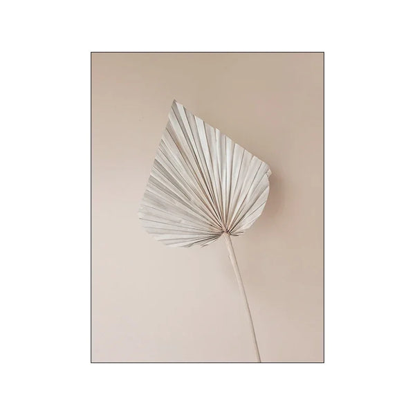 Nordisches Blumen & Gräser Poster – Minimalistische Wandkunst auf Leinwand