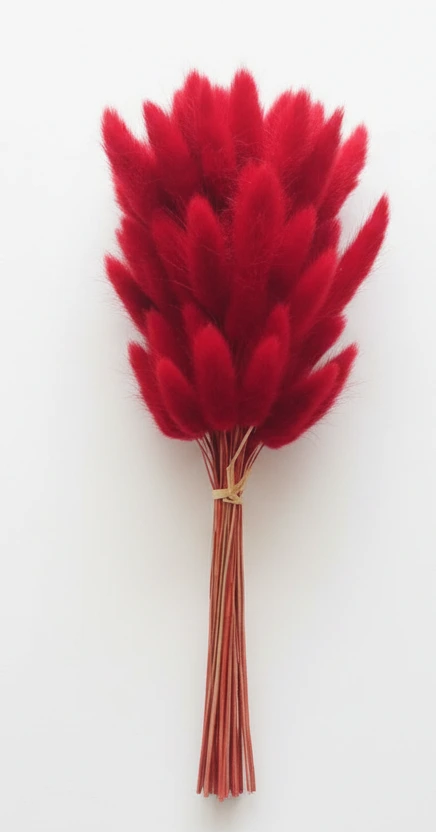 Getrocknete Hasenschwänze (Lagurus Ovatus) – Natürliche Trockenblumen im Boho Stil