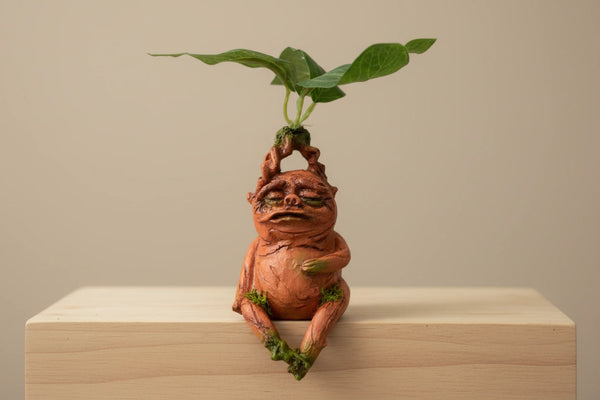 Mandrake Figur – Dekorative Harz Statue für Garten & Wohnraum