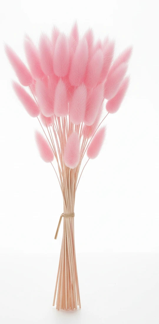 Getrocknete Hasenschwänze (Lagurus Ovatus) – Natürliche Trockenblumen im Boho Stil