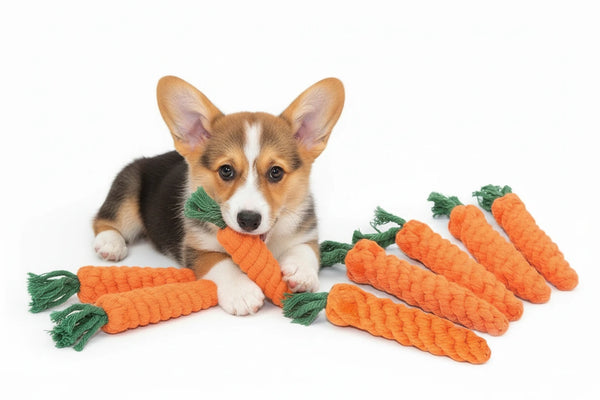 Hundespielzeug Karotte – Knoten Kauspielzeug aus Baumwollseil für Hunde und Katzen