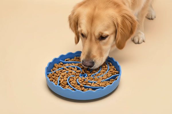 Anti-Schling-Napf aus Silikon für Hunde - Slow Feeder Hundenapf