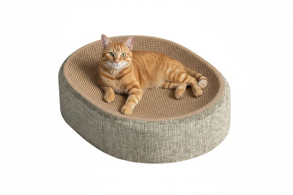 2-in-1 Kratzbrett für Katzen – Kratz- & Liegeplatz in einem