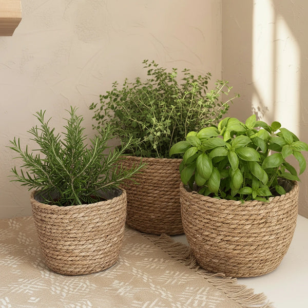 Seegras Pflanzkorb – Rattan Blumentopf für Innen & Außen, Balkon & Garten