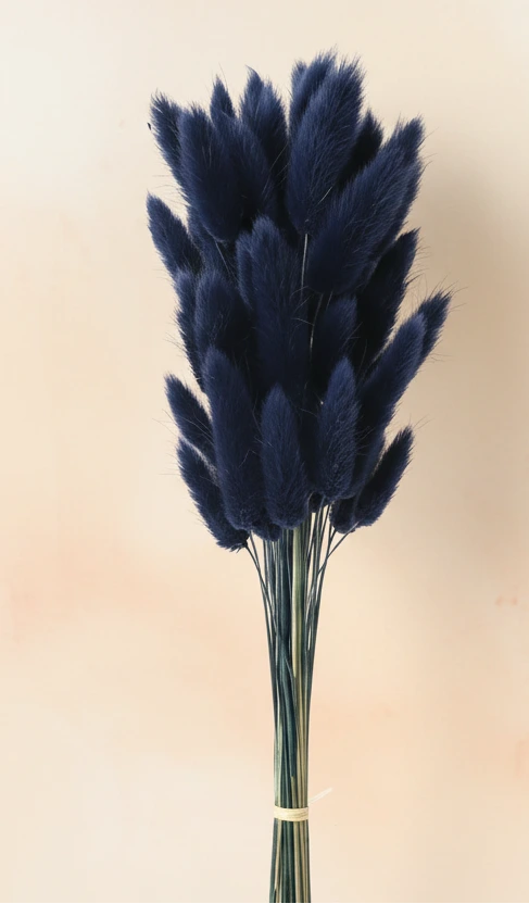 Getrocknete Hasenschwänze (Lagurus Ovatus) – Natürliche Trockenblumen im Boho Stil