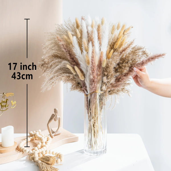 Getrocknete Blumen – Pampasgras & Hasenschwanz (Bunny Tail) für Boho Home, Hochzeit & Party-Deko