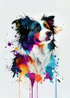 Graffiti Hund Leinwand Poster – Golden Retriever, Border Collie, Französische Bulldogge Wandkunst