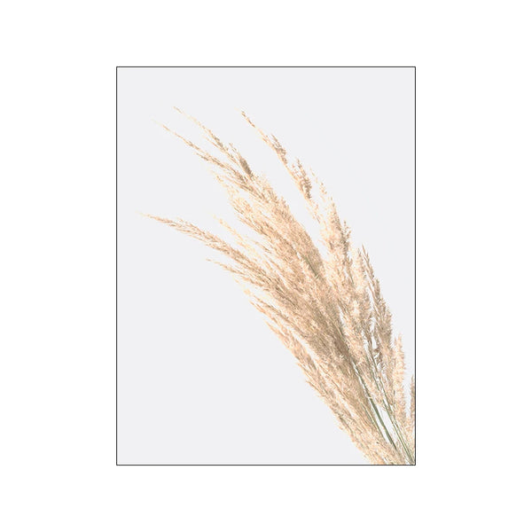 Nordisches Blumen & Gräser Poster – Minimalistische Wandkunst auf Leinwand