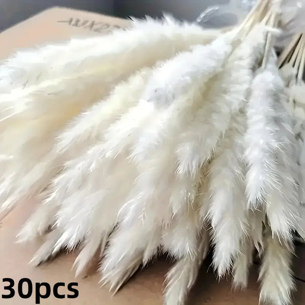 Getrocknete Blumen – Pampasgras & Hasenschwanz (Bunny Tail) für Boho Home, Hochzeit & Party-Deko