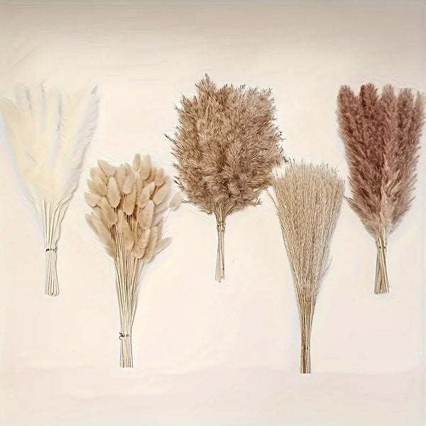 Getrocknete Blumen – Pampasgras & Hasenschwanz (Bunny Tail) für Boho Home, Hochzeit & Party-Deko