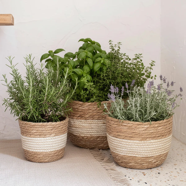 Seegras Pflanzkorb – Rattan Blumentopf für Innen & Außen, Balkon & Garten